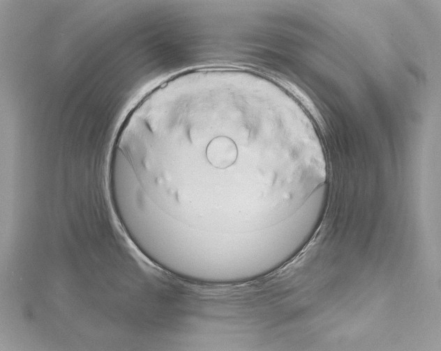 X0000114671485200912021043