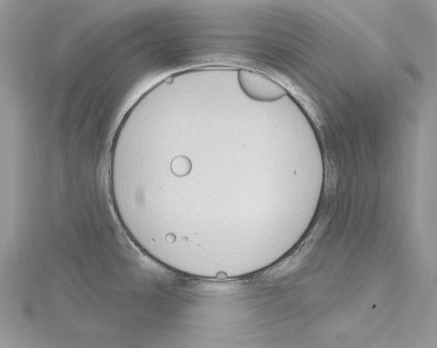 X0000114671486200912021043