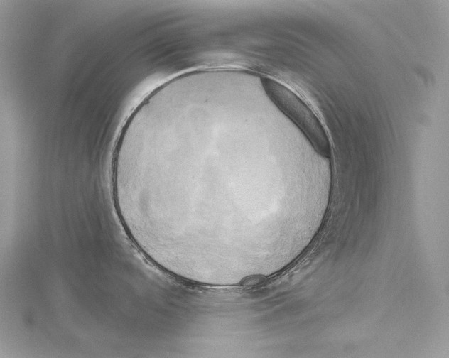 X0000114671488200912021043