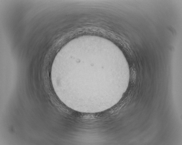 X0000114671489200912021042