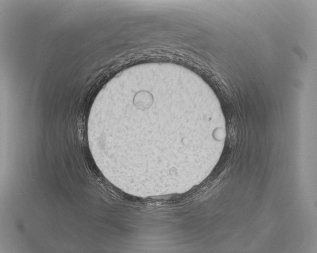 X0000114671490200912021042