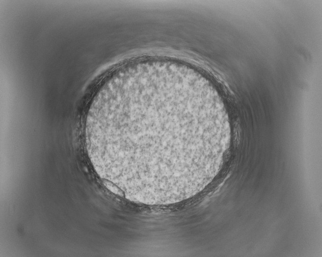 X0000114671494200912021042