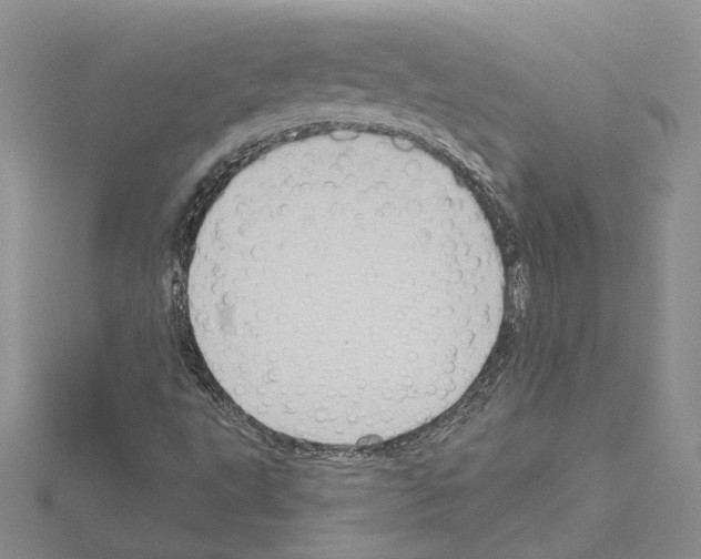 X0000114671495200912021042