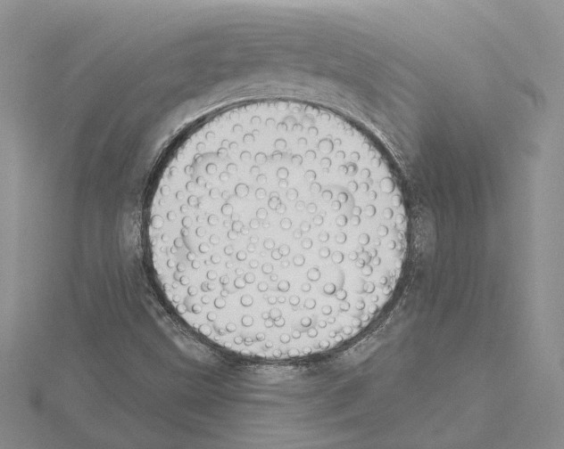 X0000114671499200912021042