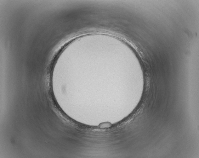 X0000114671503200912021042