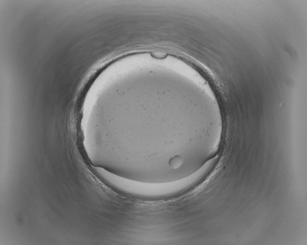 X0000114671506200912021042