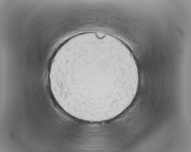 X0000114671507200912021042