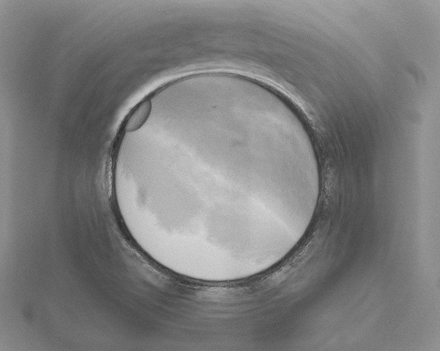 X0000114671510200912021042