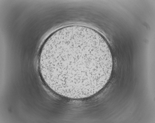 X0000114671511200912021042