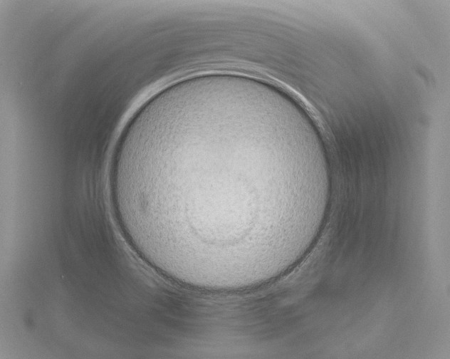 X0000114671514200912021042