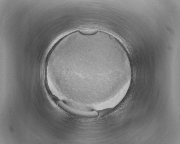 X0000114671515200912021042