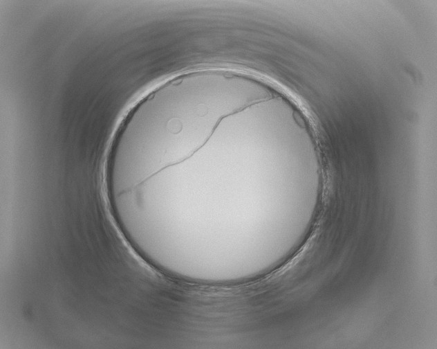 X0000114671517200912021043