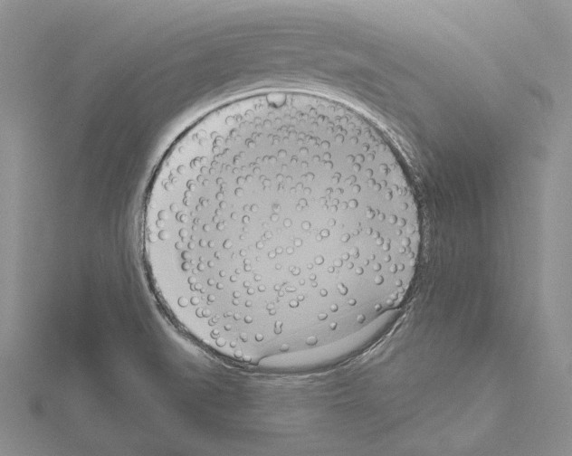 X0000114671519200912021043