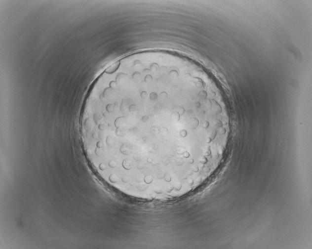 X0000114671521200912021043