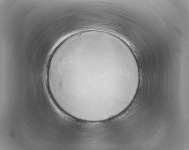 X0000114671523200912021043