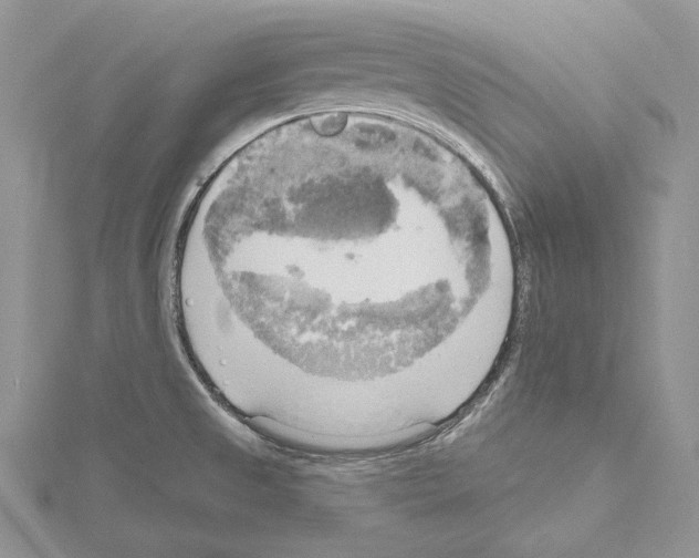 X0000114671525200912021043