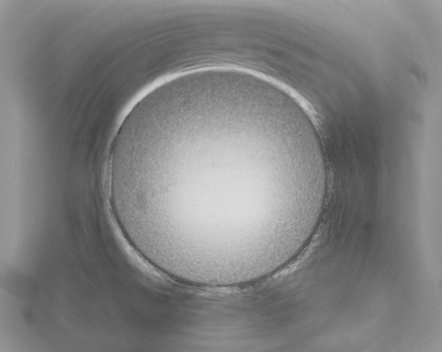 X0000114671526200912021043