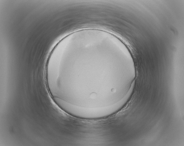 X0000114671527200912021043