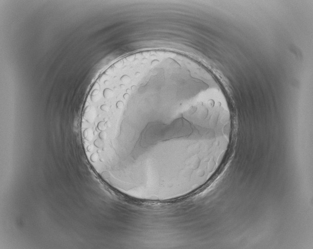 X0000114671529200912021043