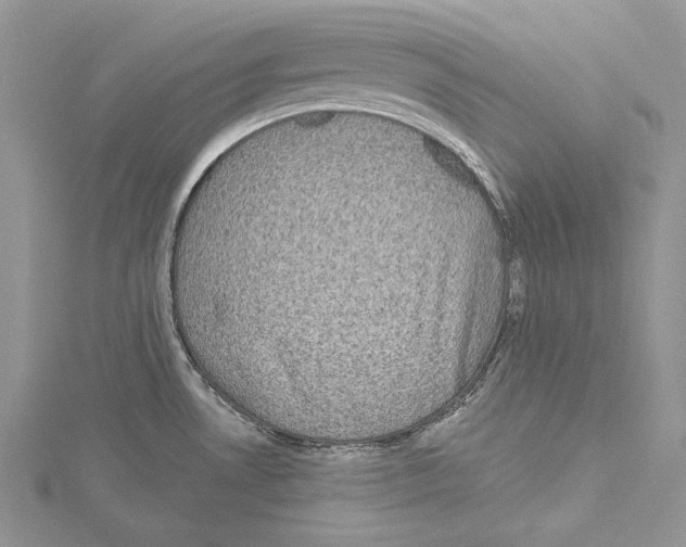 X0000114671530200912021043