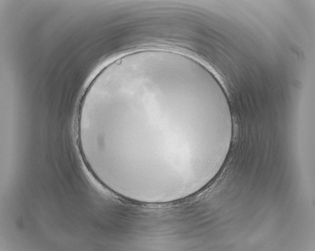 X0000114671531200912021043