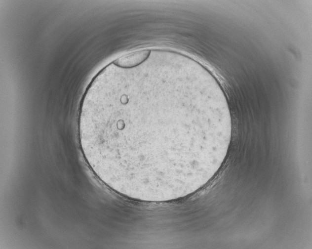 X0000114671534200912021043