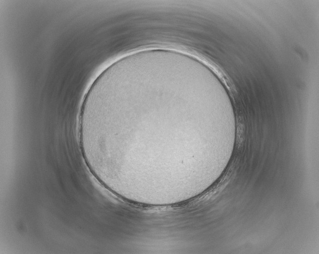 X0000114671535200912021043