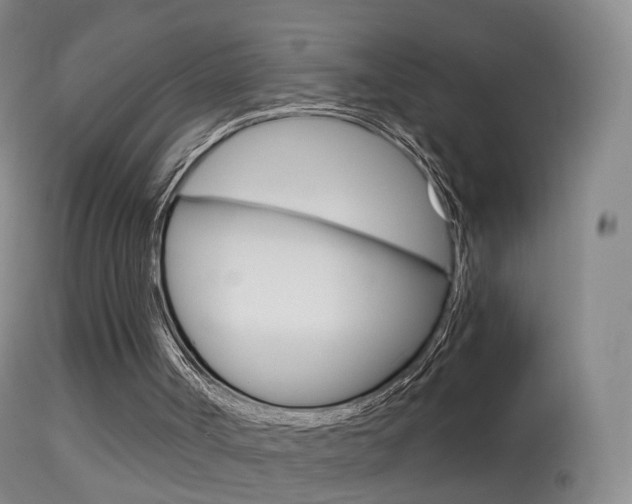 X0000114680002200910211042