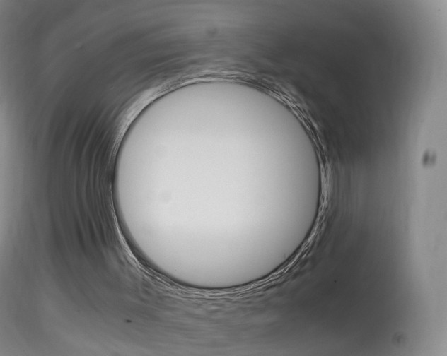 X0000114680003200910211042