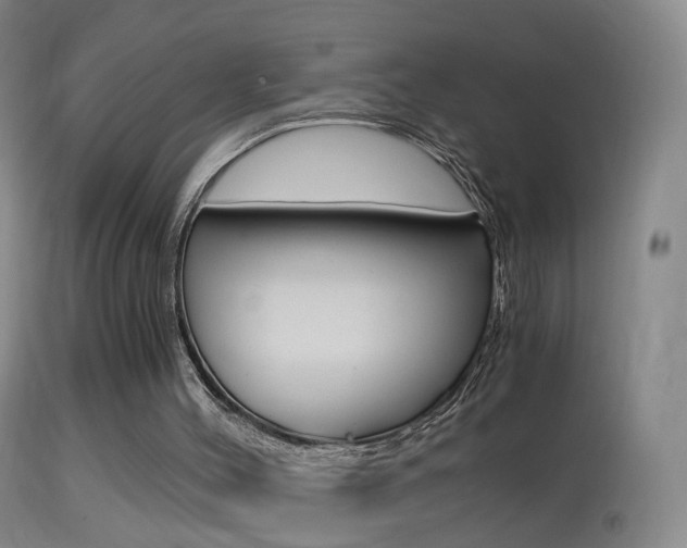 X0000114680004200910211042