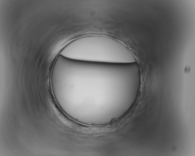 X0000114680005200910211042