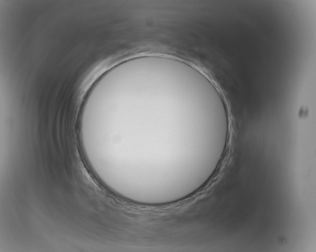 X0000114680007200910211042