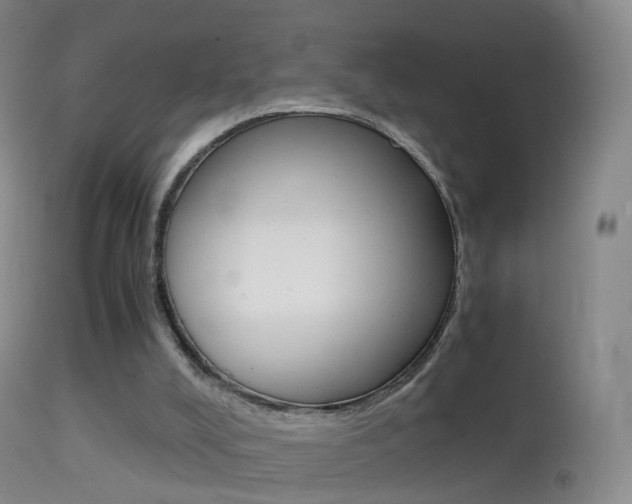 X0000114680008200910211042