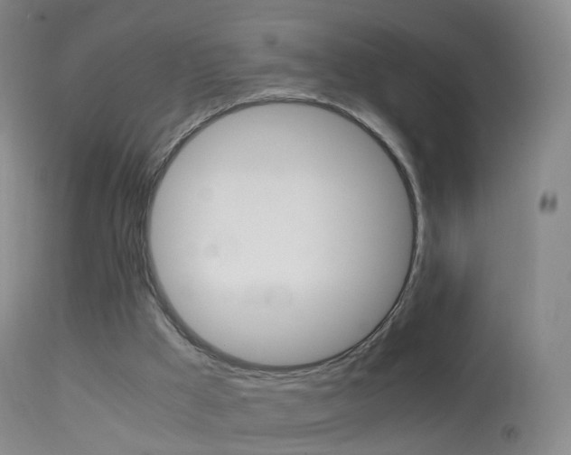 X0000114680009200910211042