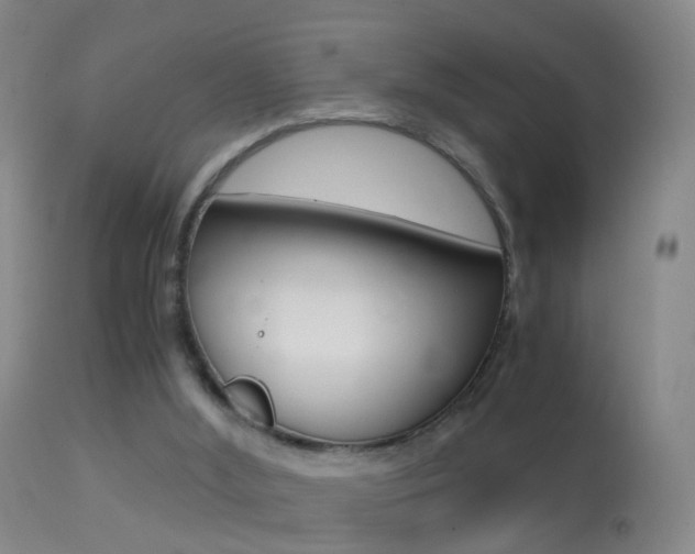 X0000114680012200910211042