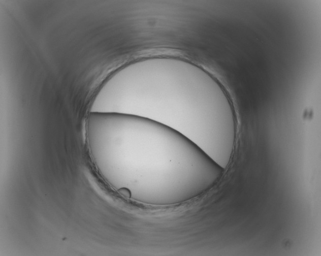 X0000114680013200910211042