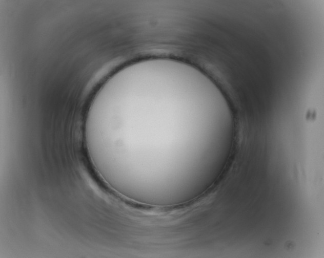 X0000114680016200910211042
