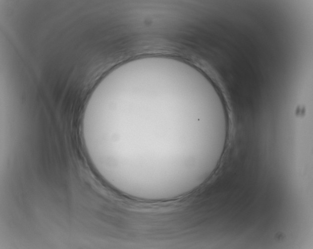 X0000114680017200910211042