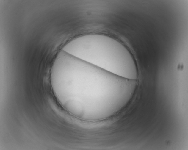 X0000114680018200910211042