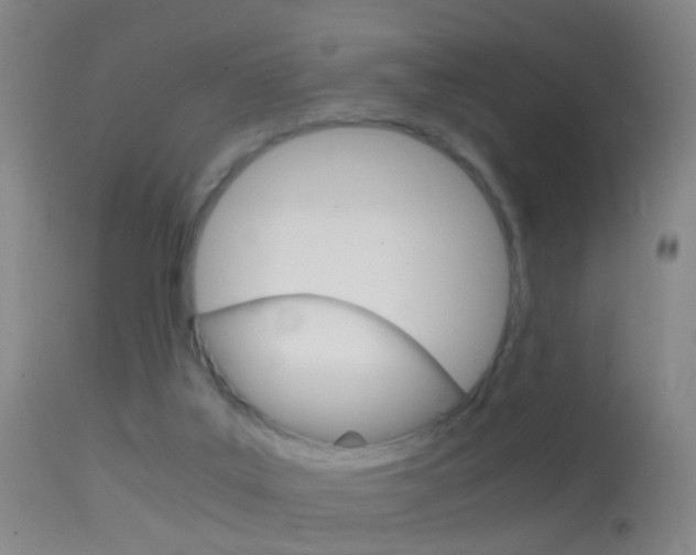 X0000114680019200910211042