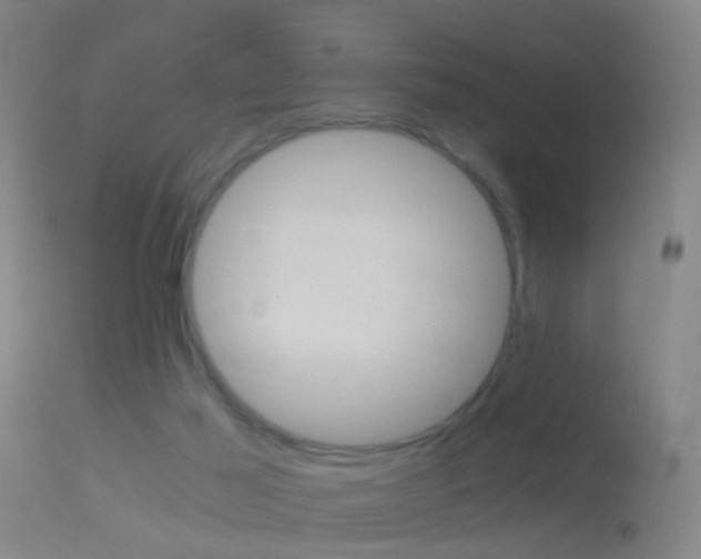 X0000114680021200910211042
