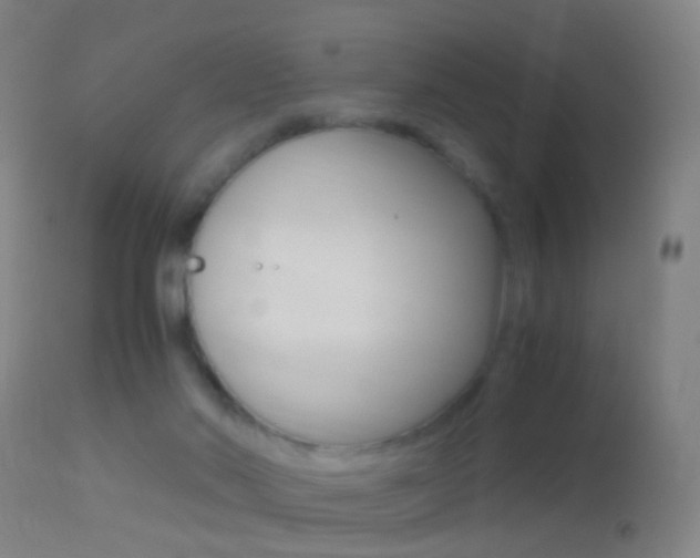 X0000114680022200910211042