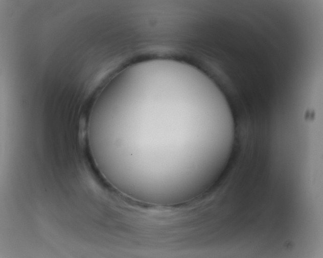 X0000114680024200910211042