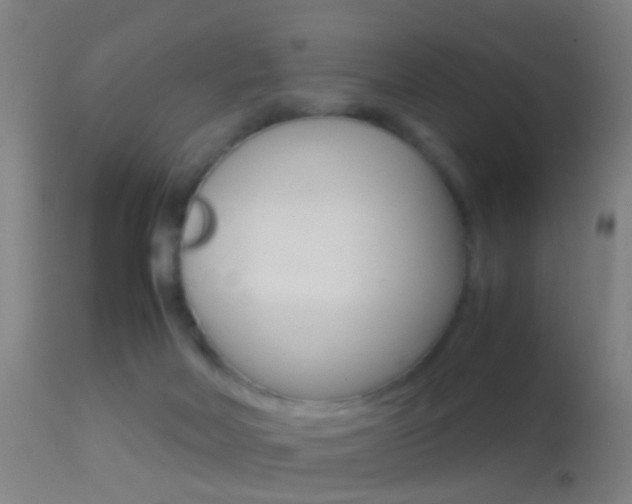 X0000114680026200910211042
