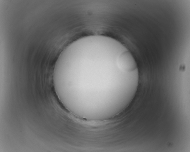 X0000114680030200910211042
