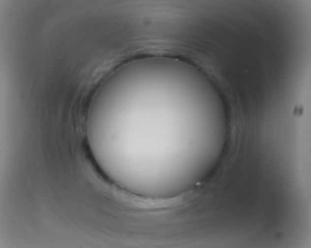 X0000114680031200910211041