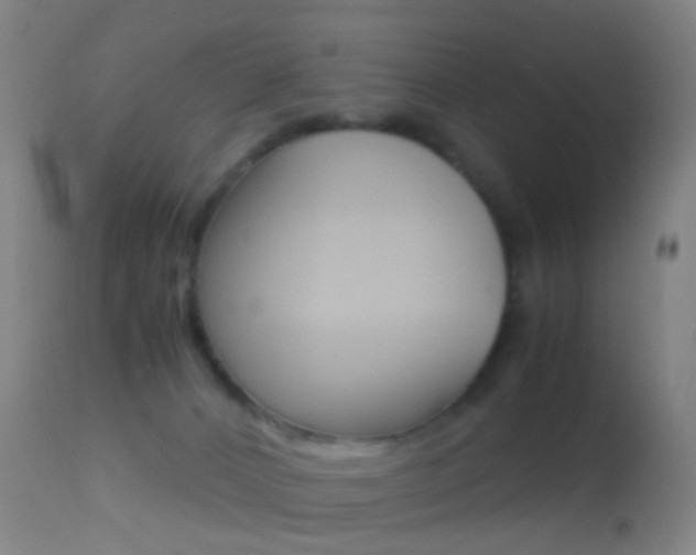 X0000114680032200910211041