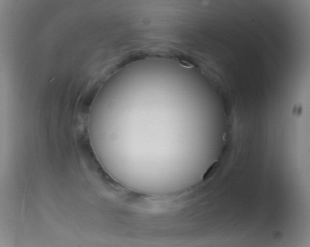 X0000114680033200910211041