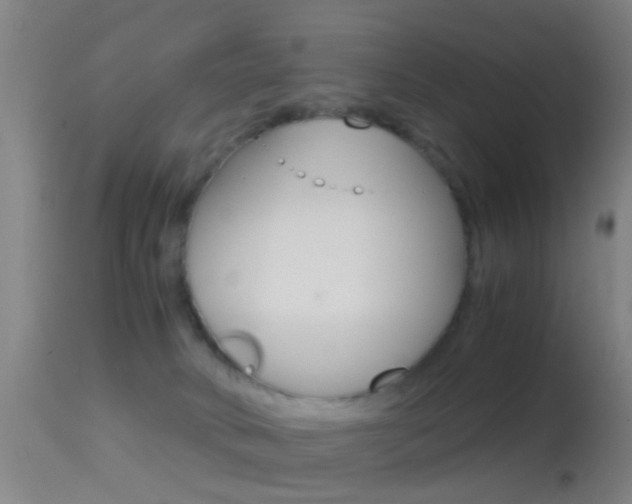 X0000114680034200910211041