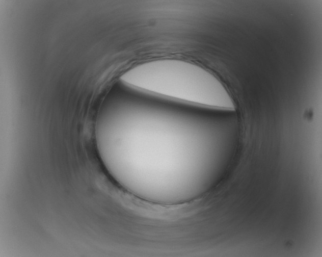 X0000114680035200910211041